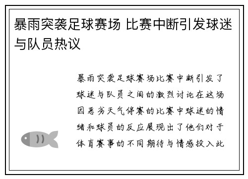 暴雨突袭足球赛场 比赛中断引发球迷与队员热议