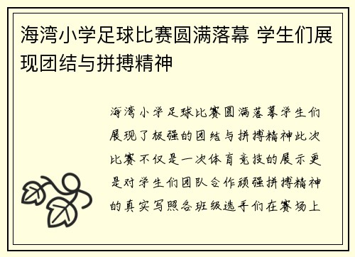 海湾小学足球比赛圆满落幕 学生们展现团结与拼搏精神