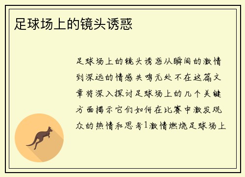 足球场上的镜头诱惑