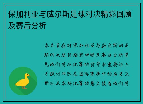 保加利亚与威尔斯足球对决精彩回顾及赛后分析
